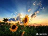 昆山市宇达星建筑工程有限公司