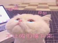 昆山市宇达星建筑工程有限公司