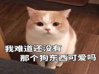 昆山市宇达星建筑工程有限公司