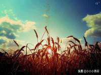 昆山市宇达星建筑工程有限公司