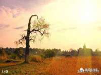昆山市宇达星建筑工程有限公司