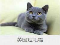昆山市宇达星建筑工程有限公司