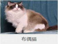 昆山市宇达星建筑工程有限公司