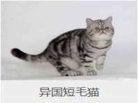 昆山市宇达星建筑工程有限公司