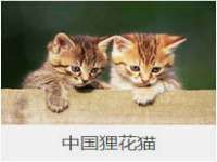 昆山市宇达星建筑工程有限公司
