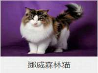 昆山市宇达星建筑工程有限公司