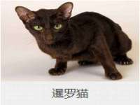 昆山市宇达星建筑工程有限公司