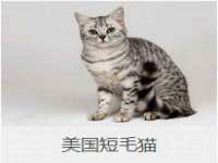 昆山市宇达星建筑工程有限公司