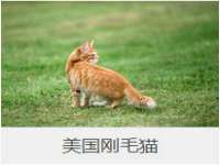 昆山市宇达星建筑工程有限公司
