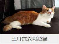 昆山市宇达星建筑工程有限公司