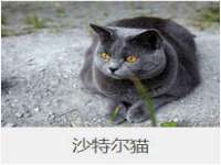 昆山市宇达星建筑工程有限公司