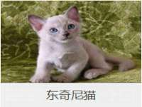 昆山市宇达星建筑工程有限公司