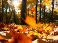 昆山市宇达星建筑工程有限公司
