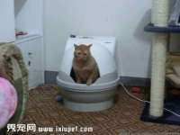 昆山市宇达星建筑工程有限公司