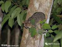 昆山市宇达星建筑工程有限公司