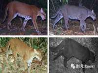 昆山市宇达星建筑工程有限公司