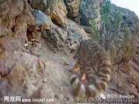 昆山市宇达星建筑工程有限公司