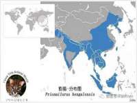 昆山市宇达星建筑工程有限公司