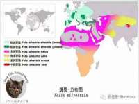 昆山市宇达星建筑工程有限公司