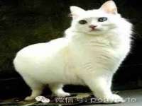 昆山市宇达星建筑工程有限公司