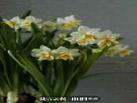 昆山市宇达星建筑工程有限公司