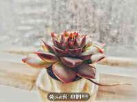 昆山市宇达星建筑工程有限公司