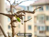 昆山市宇达星建筑工程有限公司