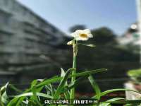 昆山市宇达星建筑工程有限公司