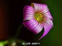昆山市宇达星建筑工程有限公司