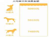 昆山市宇达星建筑工程有限公司
