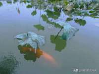 昆山市宇达星建筑工程有限公司