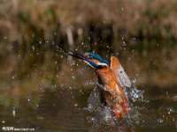 昆山市宇达星建筑工程有限公司