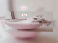 昆山市宇达星建筑工程有限公司