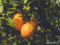 昆山市宇达星建筑工程有限公司