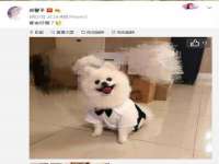 昆山市宇达星建筑工程有限公司