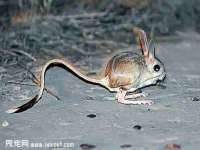 昆山市宇达星建筑工程有限公司