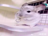 昆山市宇达星建筑工程有限公司
