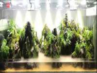 昆山市宇达星建筑工程有限公司