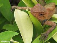 昆山市宇达星建筑工程有限公司