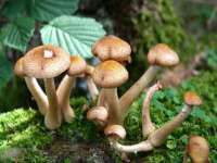 昆山市宇达星建筑工程有限公司