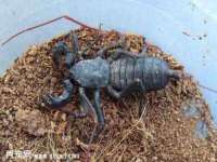 昆山市宇达星建筑工程有限公司