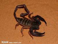 昆山市宇达星建筑工程有限公司
