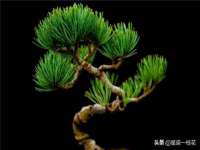 昆山市宇达星建筑工程有限公司