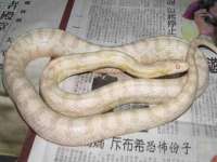 昆山市宇达星建筑工程有限公司