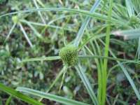 昆山市宇达星建筑工程有限公司